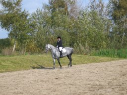 LF HSC - 0378_web